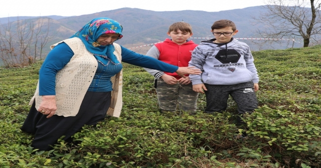 Rizede Altında Maden İşletmesi Olan Köy Kayıyor