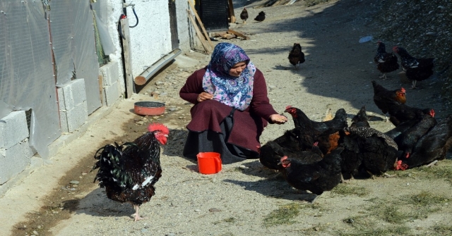 Kadın Girişimci Kümesini Büyütmek İçin Destek Bekliyor