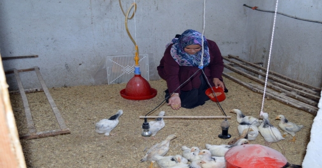 Kadın Girişimci Kümesini Büyütmek İçin Destek Bekliyor