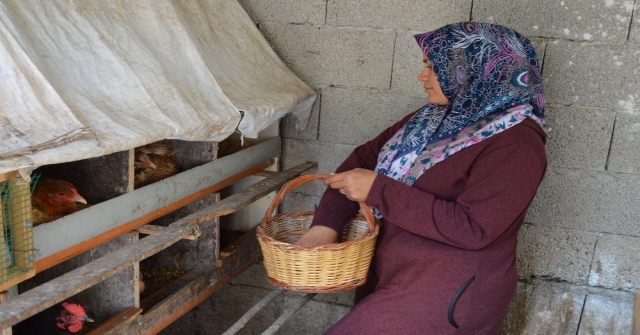 Kadın Girişimci Kümesini Büyütmek İçin Destek Bekliyor