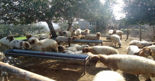 Bakanlık Manisa Ve İzmir Köylüsünün Yüzünü Güldürdü