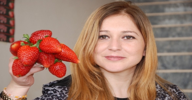Silifke Çileğinin Fiyatını Kaymakam Ve Üreticiler Birlikte Belirledi
