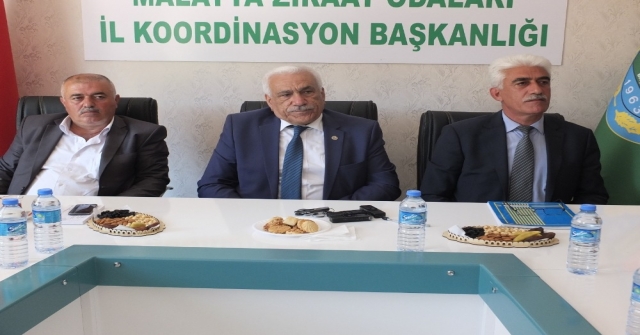 Kayısı Da Boş Çiçek Ve Dökülme Sıkıntısı