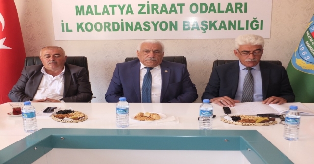 Kayısı Da Boş Çiçek Ve Dökülme Sıkıntısı