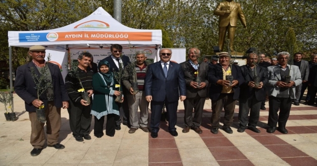 Vali Köşger Üreticiye Zeytin Fidanı Dağıttı