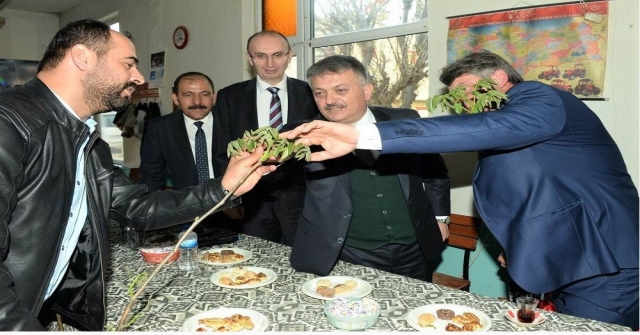 Bandırmadan 25 Ülkeye 1 Milyon Ceviz Fidanı