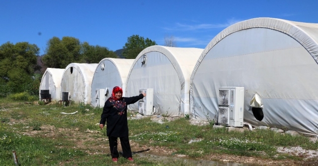 İlkokul Mezunuyken, Dünyaya Açılmayı Hedefleyen İş Kadını Oldu