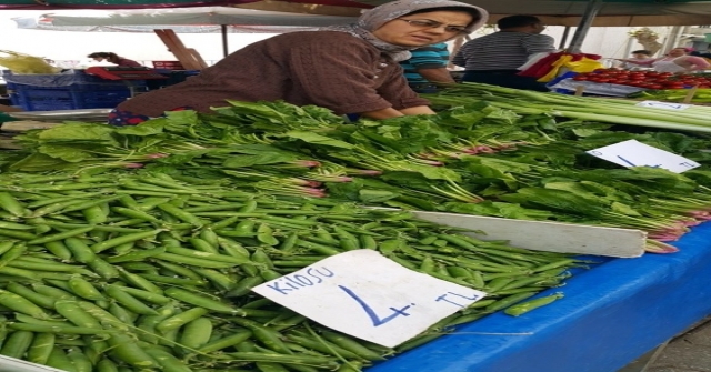Bezelye Sezonu Açıldı