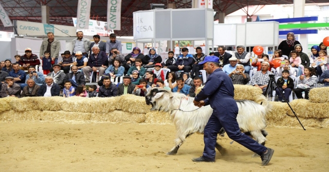 4. Teke Yöresi Tarım Ve Hayvancılık Fuarına Doğru