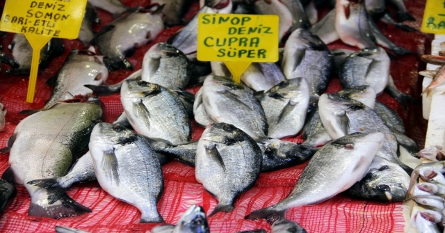 Balıkçıların Hayali Bir Başka Sezona Kaldı