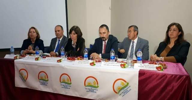 Sultanhisar çileği için coğrafi işaret alınacak