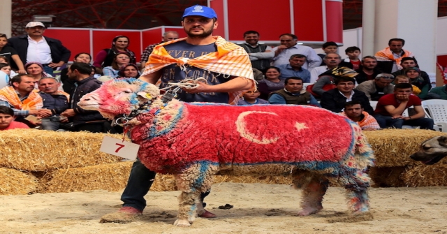 Yörük Türkmenler fuarda bu yıl kültürlerini tanıtacak