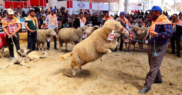 Yörük Türkmenler fuarda bu yıl kültürlerini tanıtacak