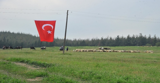 Osmaniye Sumbas'ta modern mera açıldı