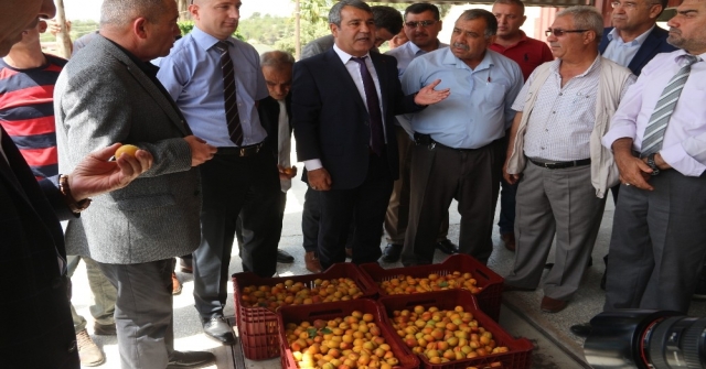 Mutta Hal Sezonu Dualarla Açıldı