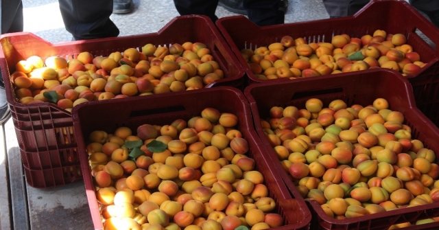 Mutta Hal Sezonu Dualarla Açıldı