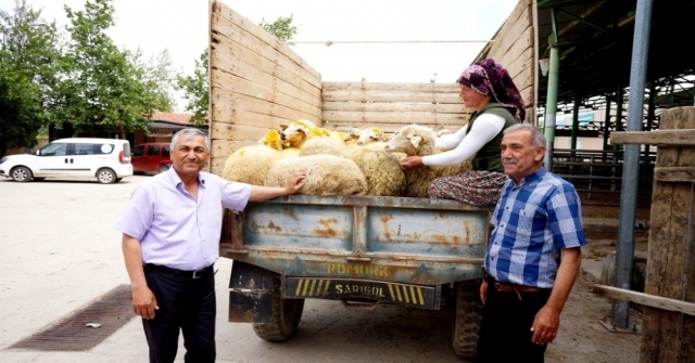 Sarıgölde İki Genç Çiftçi Küçükbaş Hayvanlarına Kavuştu