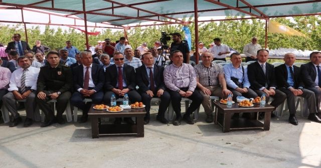 Mersinin Mut İlçesi 70 Bin Ton Kayısı İhracatı Hedefliyor