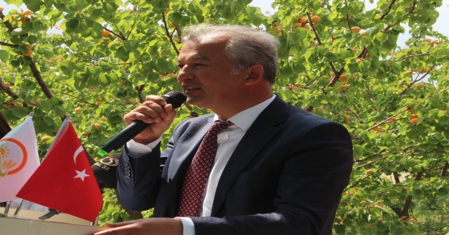 Mersinin Mut İlçesi 70 Bin Ton Kayısı İhracatı Hedefliyor