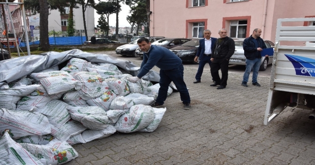 Orduda Organik Tarımda Sevindirici Gelişme