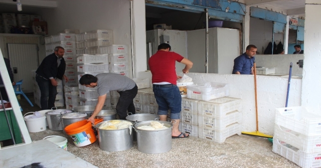 Günde 100 Ton Peynir Üretilen Siverekte Patentli Üretici Yok