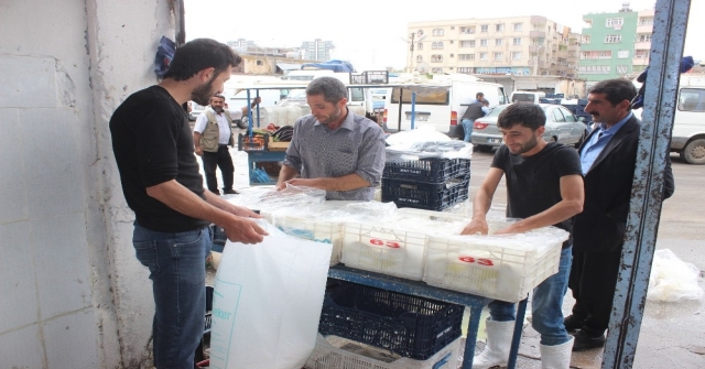 Günde 100 Ton Peynir Üretilen Siverekte Patentli Üretici Yok