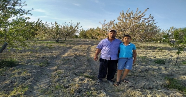Selendili Kiraz Üreticileri Sezondan Umutlu