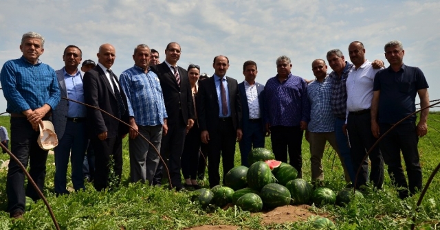 Adanada Turfanda Karpuz Hasadı Başladı