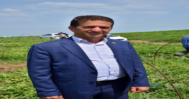 Adanada Turfanda Karpuz Hasadı Başladı