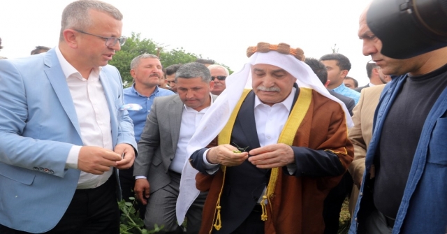 Bakan Fakıbaba: “Şanlıurfa Türkiyenin Kaba Yem İhtiyacının Yüzde 40Inı Karşılayacak”
