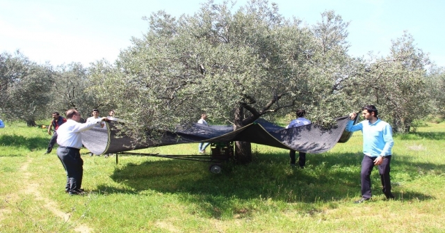 Zeytin çiftçisine büyük kolaylık