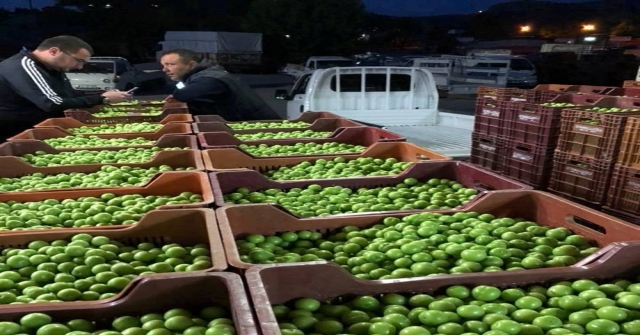 Mutta Kaliteli Kayısı Ve Erik Üreticilerle Tüccarın Yüzünü Güldürdü
