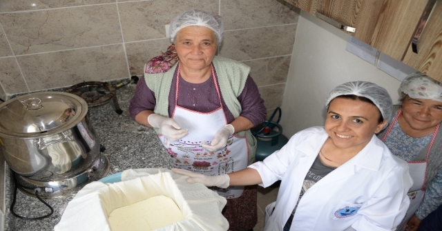 Köy kadınlarından pastörize peynir