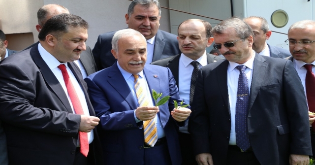 Bakan Fakıbaba Yaş Çay Taban Fiyatının Nasıl Belirlendiğini Anlattı