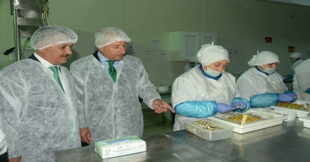 Vali Yazıcı: Üretim Ve İstihdam Kapasitesi Sevindirici