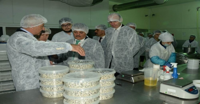 Vali Yazıcı: Üretim Ve İstihdam Kapasitesi Sevindirici
