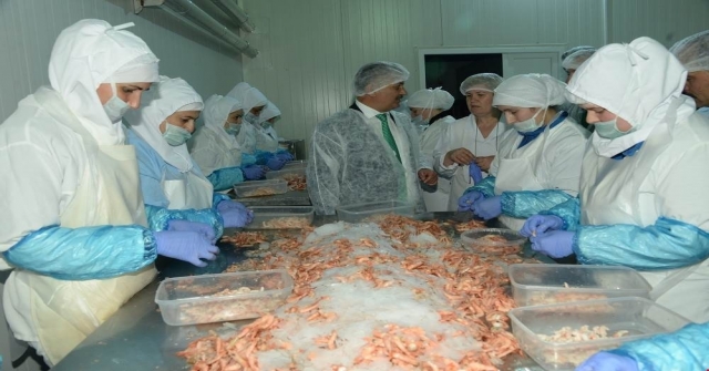 Vali Yazıcı: Üretim Ve İstihdam Kapasitesi Sevindirici