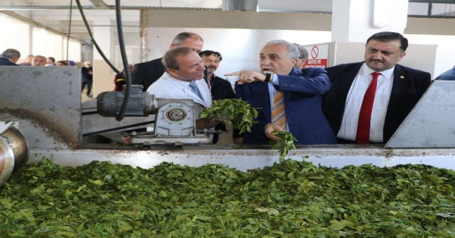 Bakan Fakıbaba: Türk Halkı Ekmek Yemeyebilir Ama Mutlaka Ve Mutlaka Çay İçecektir