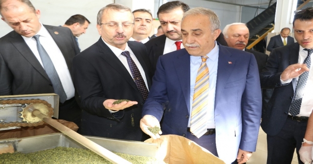 Bakan Fakıbaba: Türk Halkı Ekmek Yemeyebilir Ama Mutlaka Ve Mutlaka Çay İçecektir