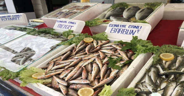 Balık Fiyatları, Kırmızı Etle Yarışıyor