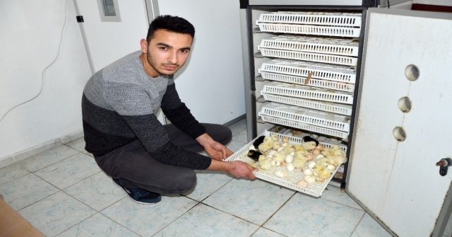 Hobi İçin Başladı, Şimdi İhracatını Yapıyor