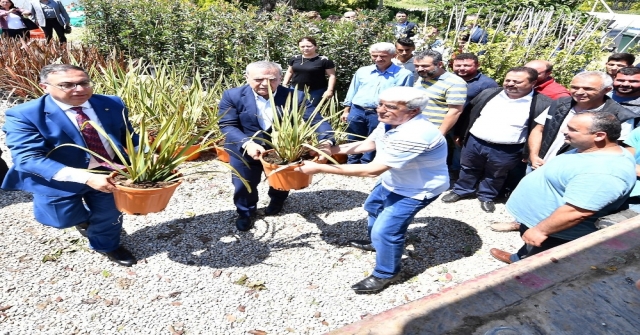 Bayındırdan Hollandaya Çiçek