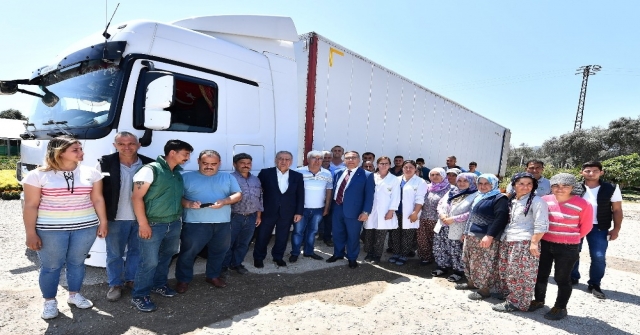 Bayındırdan Hollandaya Çiçek