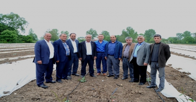 Bafra Ovasında Karpuz Ve Kavun Üreticileri Dertli