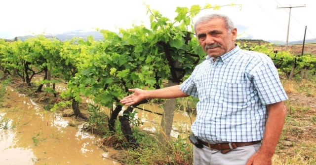 Sarıgölde Bazı Bağlar Doludan Zarar Gördü