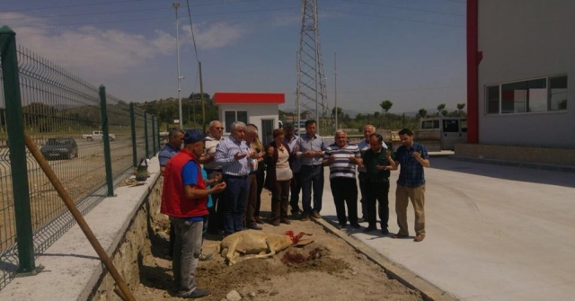Tariş Kolonya Aydında Dualarla Üretime Başladı