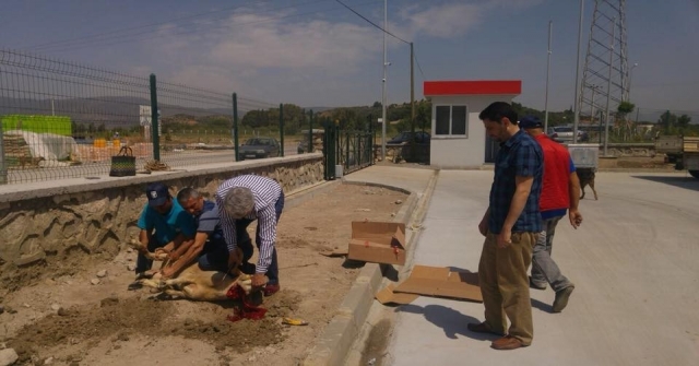 Tariş Kolonya Aydında Dualarla Üretime Başladı