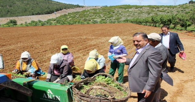 Baştuğdan Çiftçiler Günü Mesajı