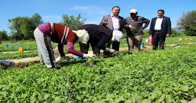 Baştuğdan Çiftçiler Günü Mesajı