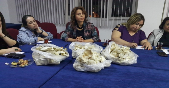 Ödemişli Kadınlardan İstiridye Mantarı Projesi